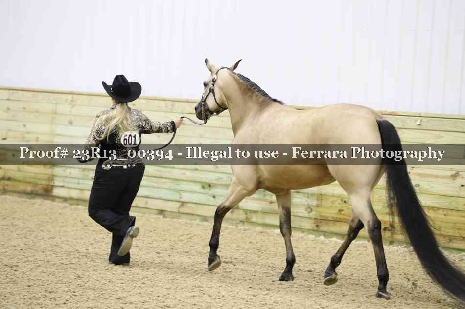 Proof 23R13_00394