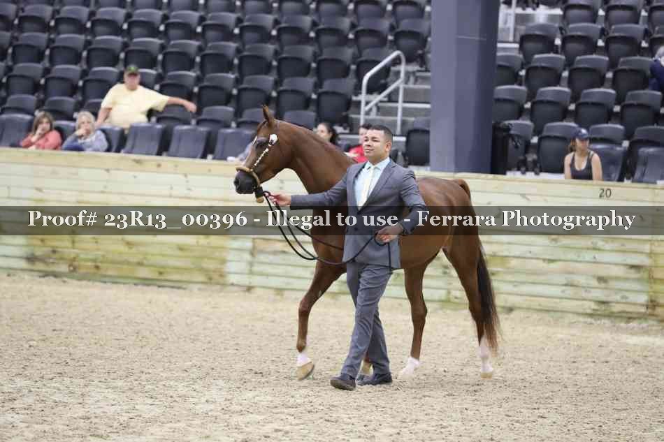 Proof 23R13_00396