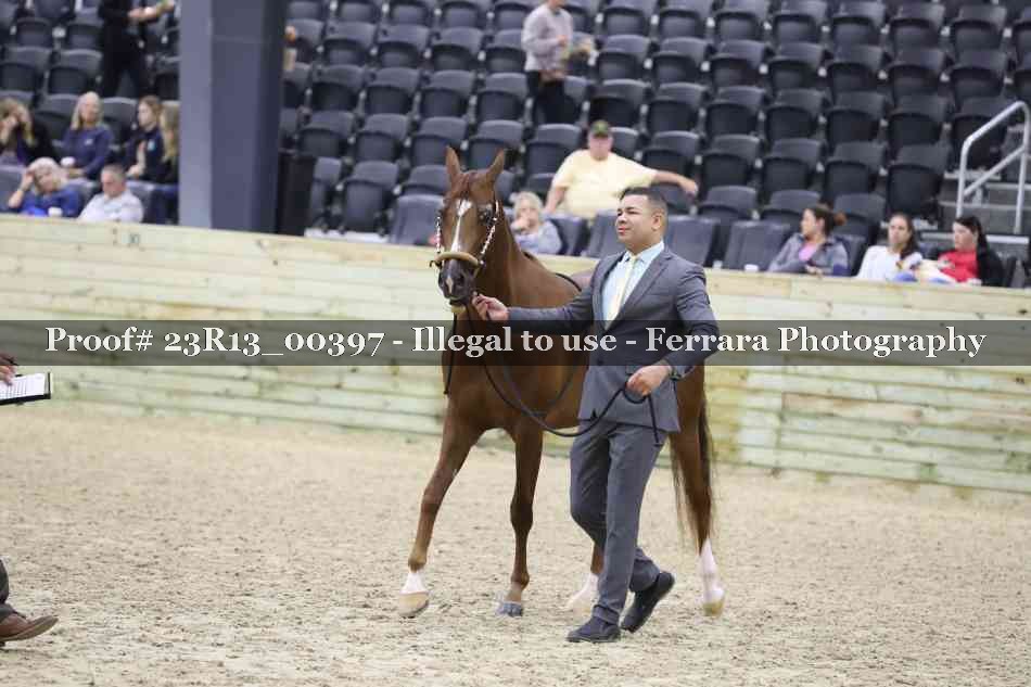 Proof 23R13_00397