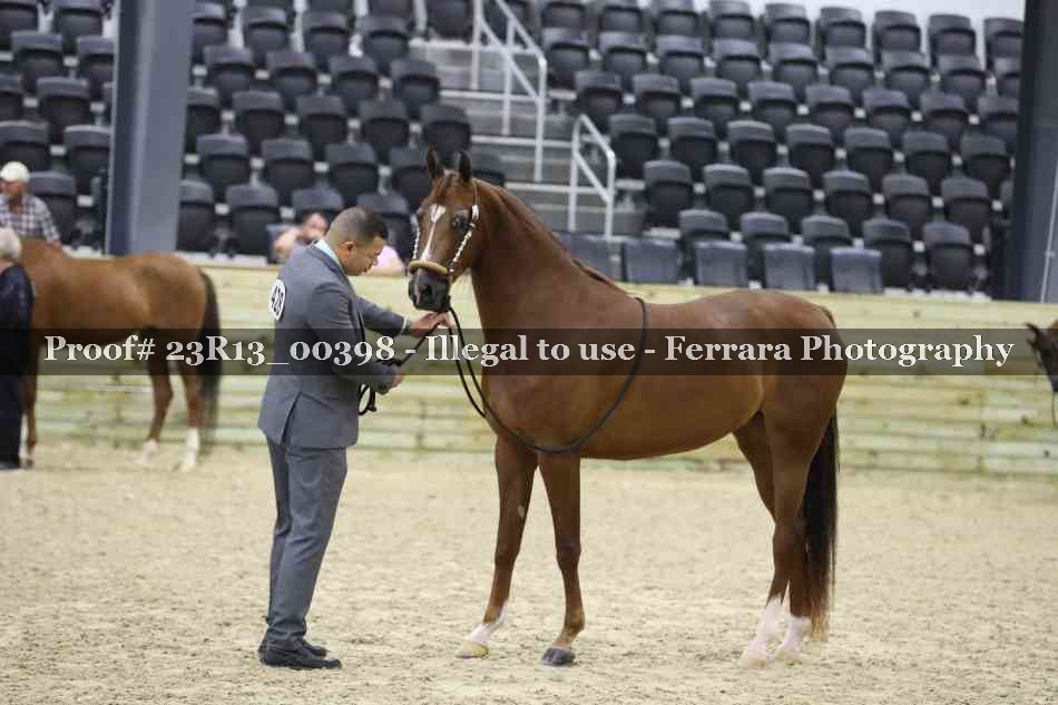 Proof 23R13_00398