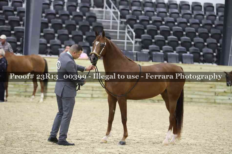 Proof 23R13_00399
