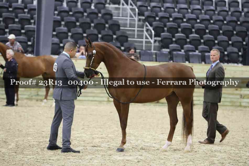 Proof 23R13_00400