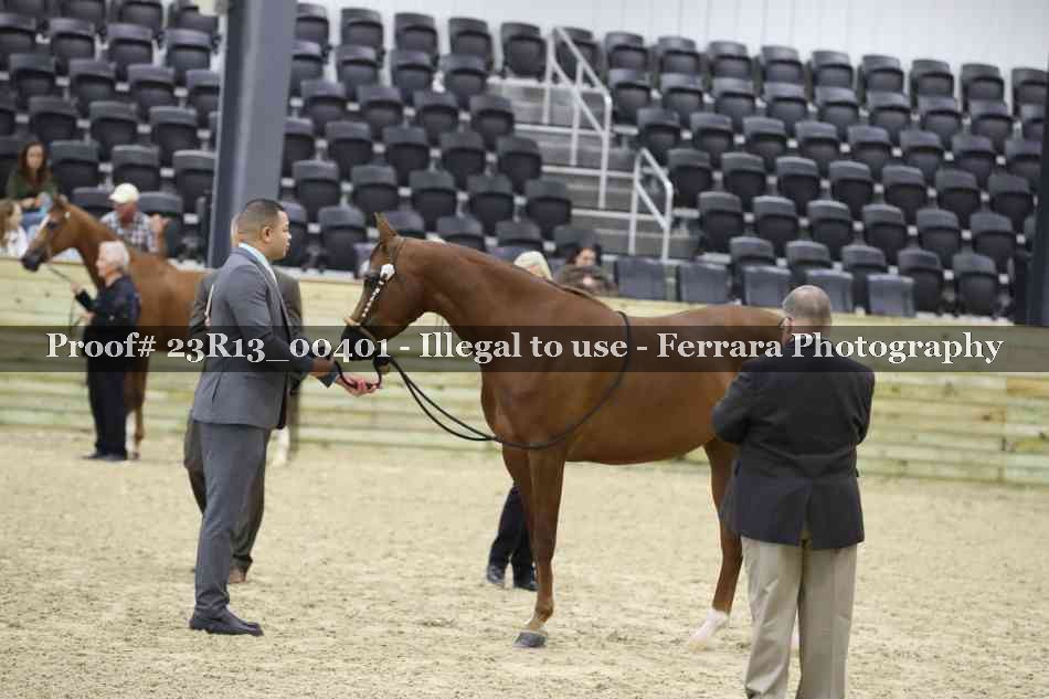 Proof 23R13_00401