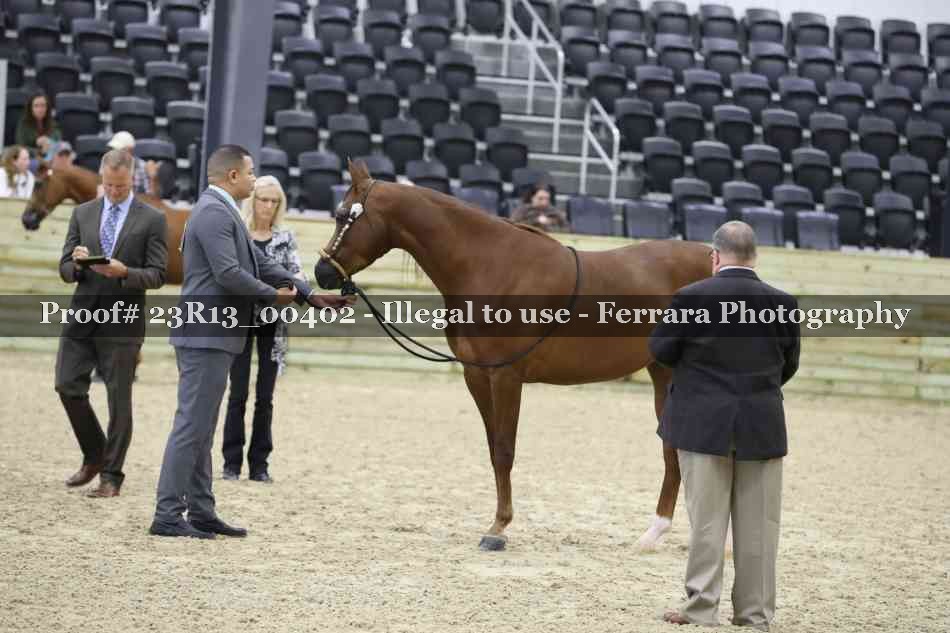 Proof 23R13_00402