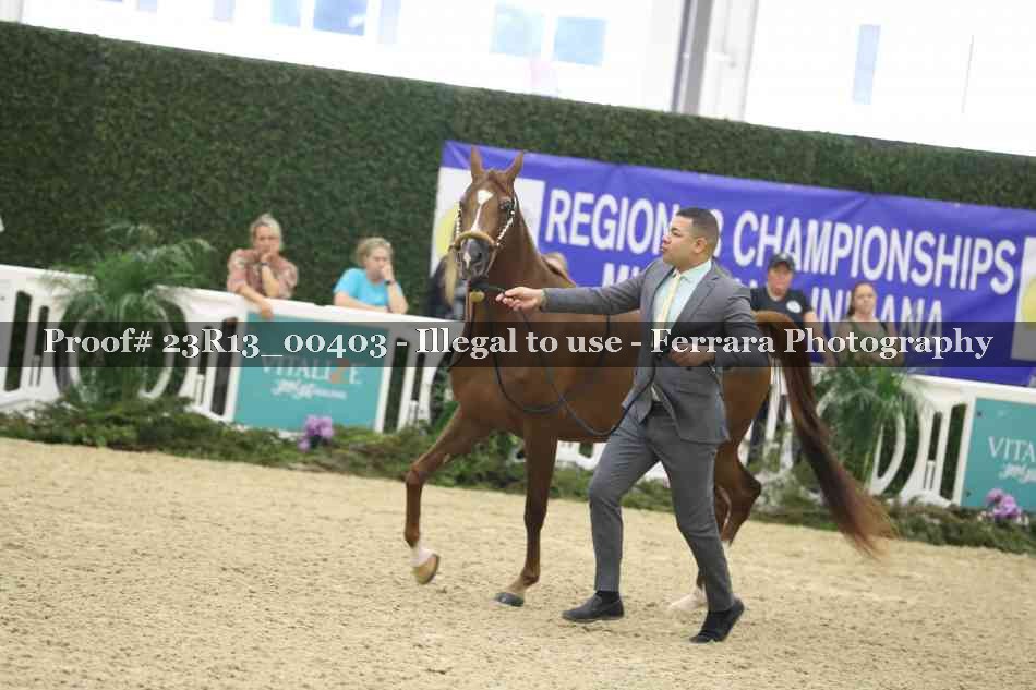 Proof 23R13_00403