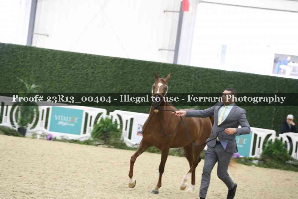 Proof 23R13_00404