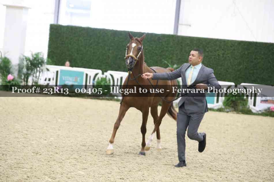 Proof 23R13_00405
