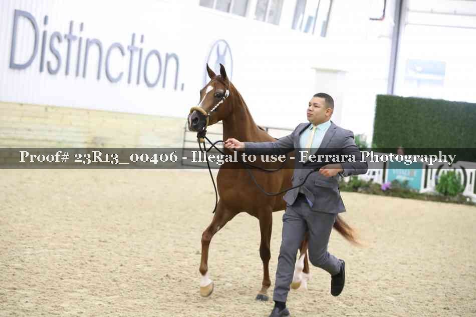 Proof 23R13_00406