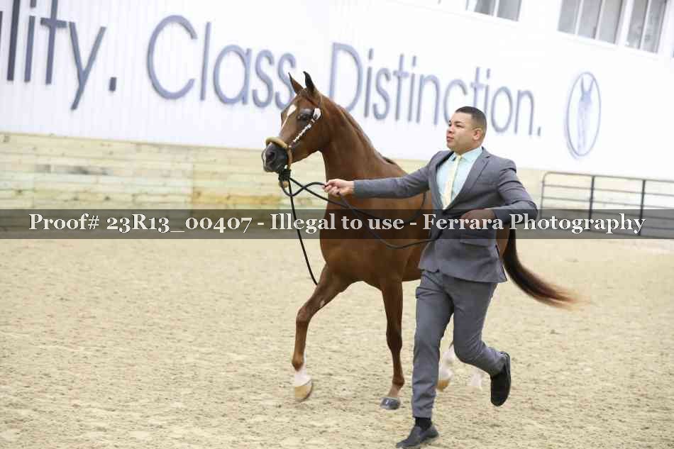 Proof 23R13_00407