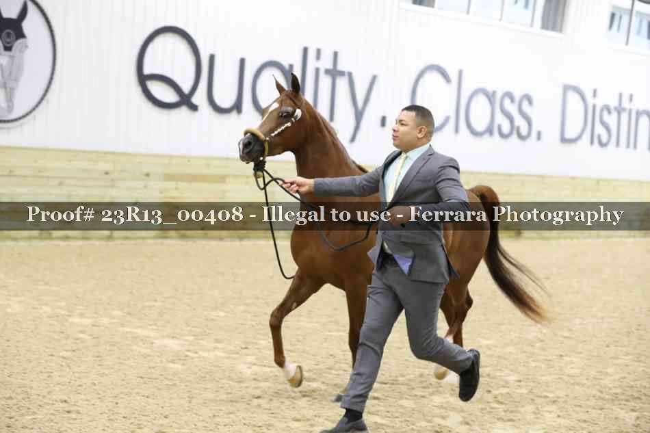 Proof 23R13_00408