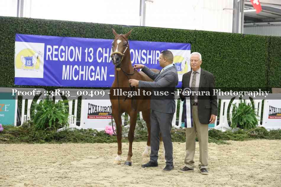 Proof 23R13_00409