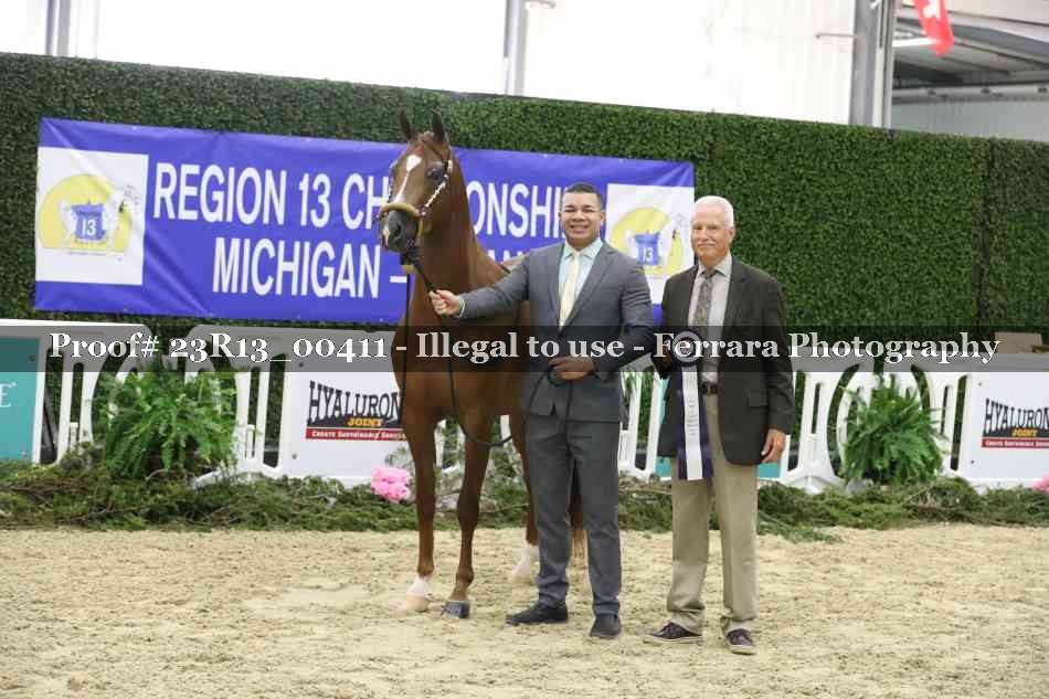 Proof 23R13_00411