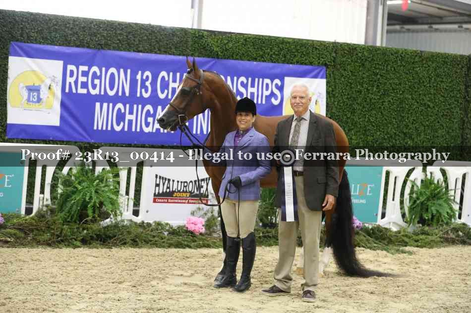 Proof 23R13_00414