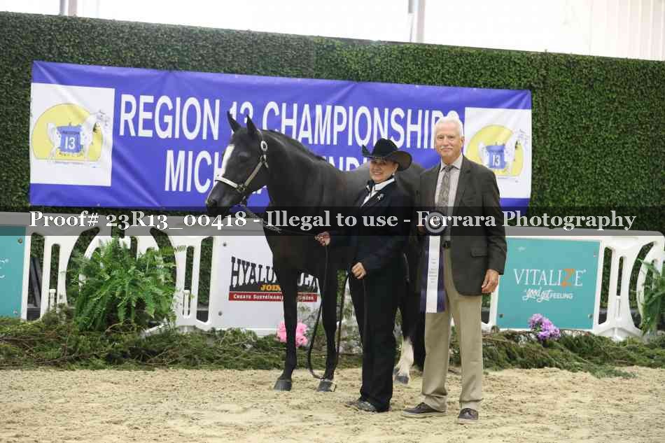 Proof 23R13_00418