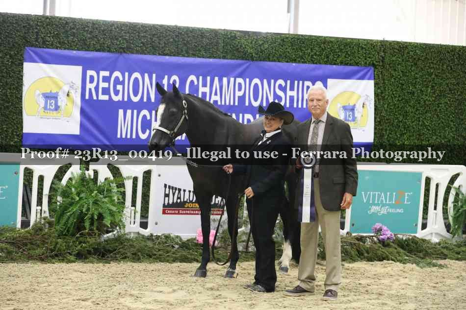 Proof 23R13_00419