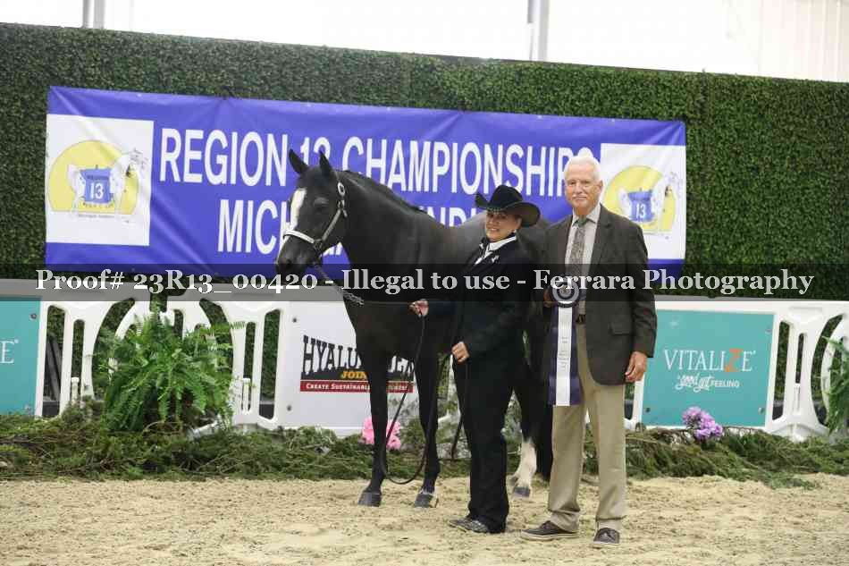 Proof 23R13_00420
