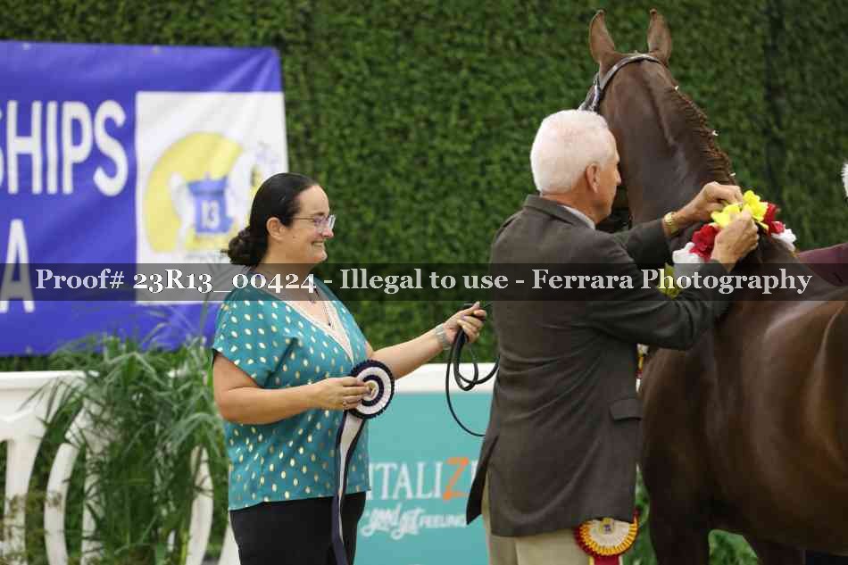 Proof 23R13_00424