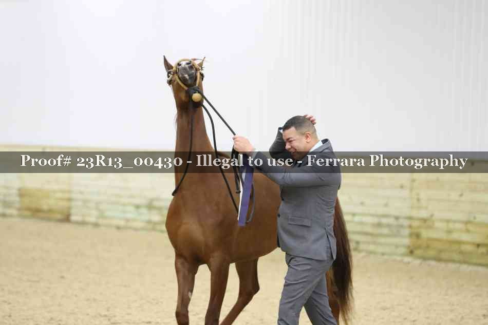 Proof 23R13_00430