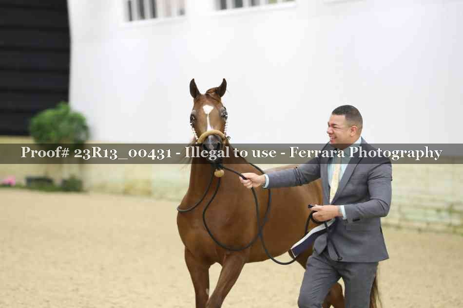 Proof 23R13_00431