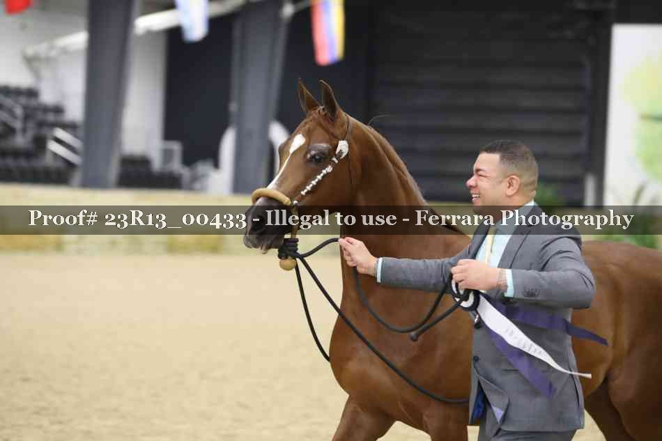 Proof 23R13_00433