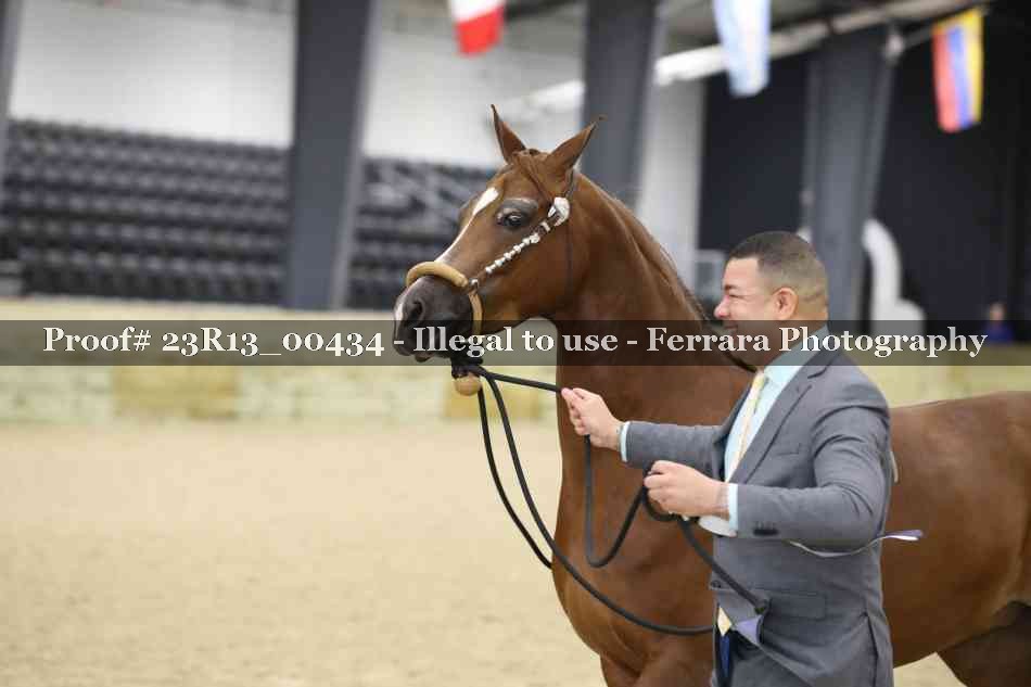 Proof 23R13_00434