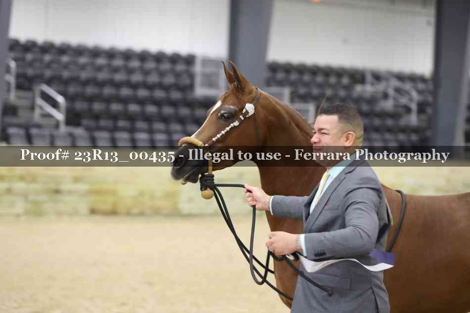 Proof 23R13_00435