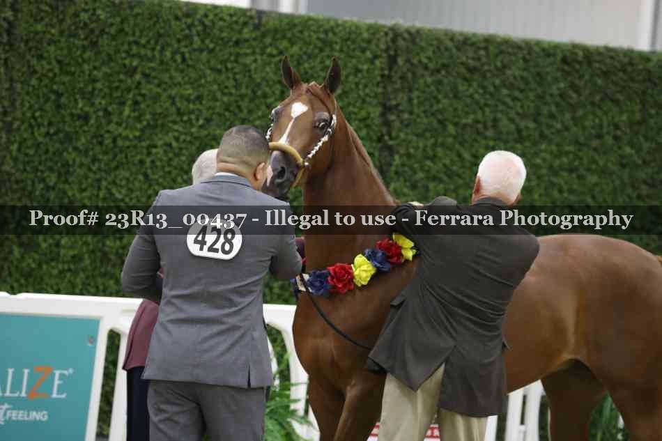 Proof 23R13_00437