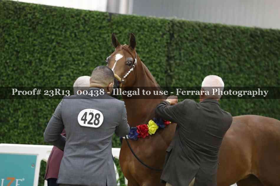 Proof 23R13_00438