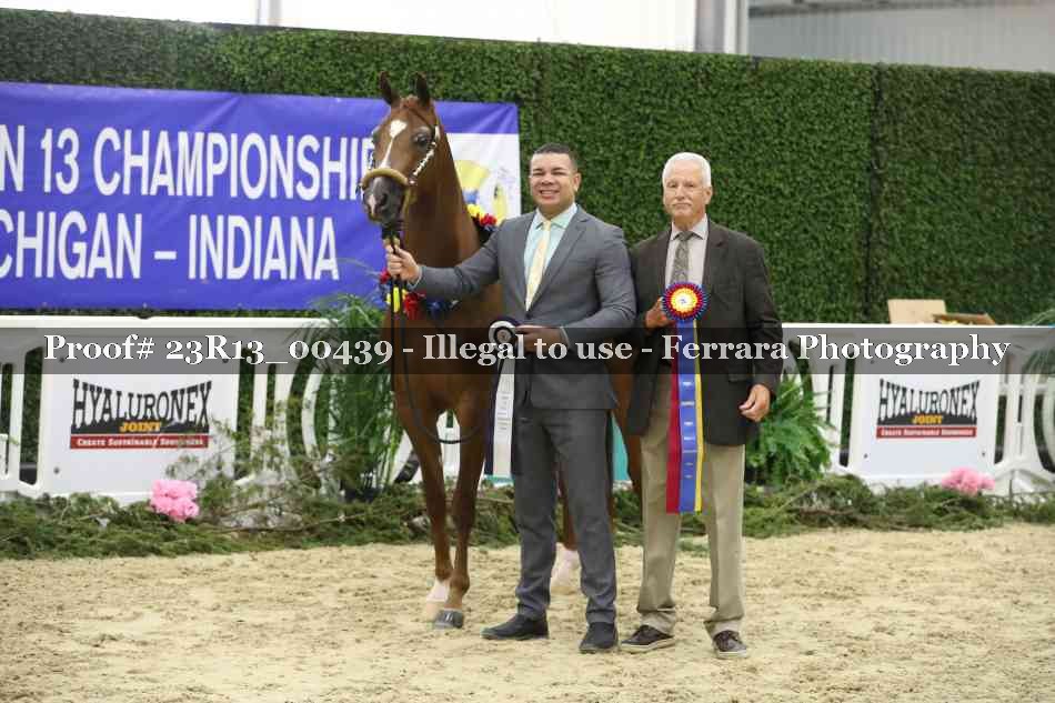Proof 23R13_00439