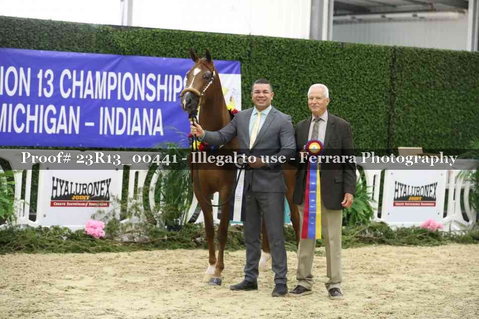 Proof 23R13_00441
