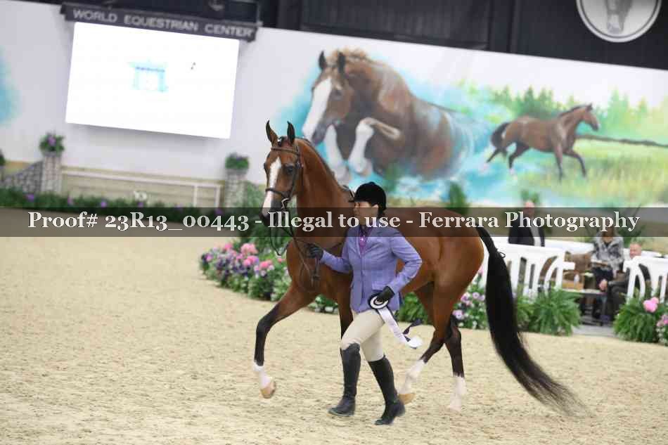 Proof 23R13_00443