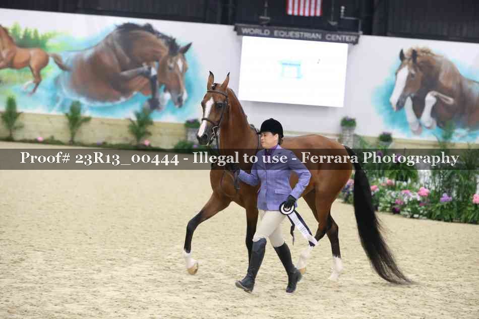 Proof 23R13_00444