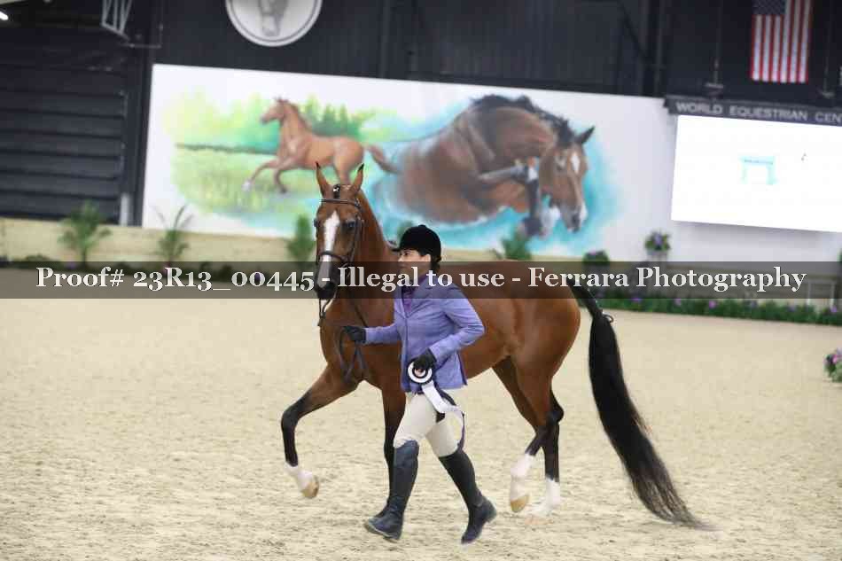 Proof 23R13_00445