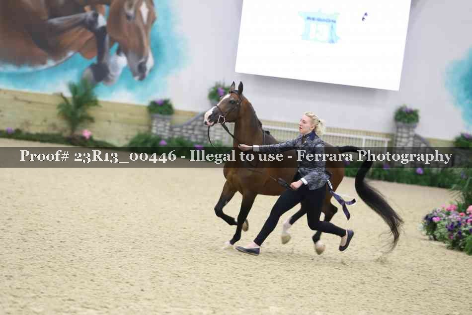 Proof 23R13_00446