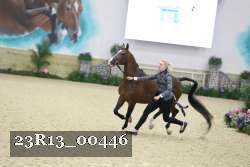 23R13_00446 proof