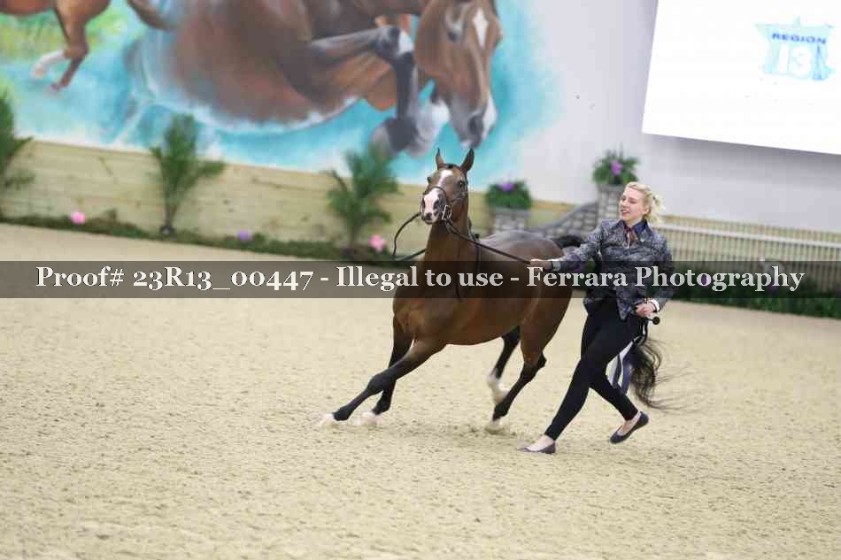 Proof 23R13_00447
