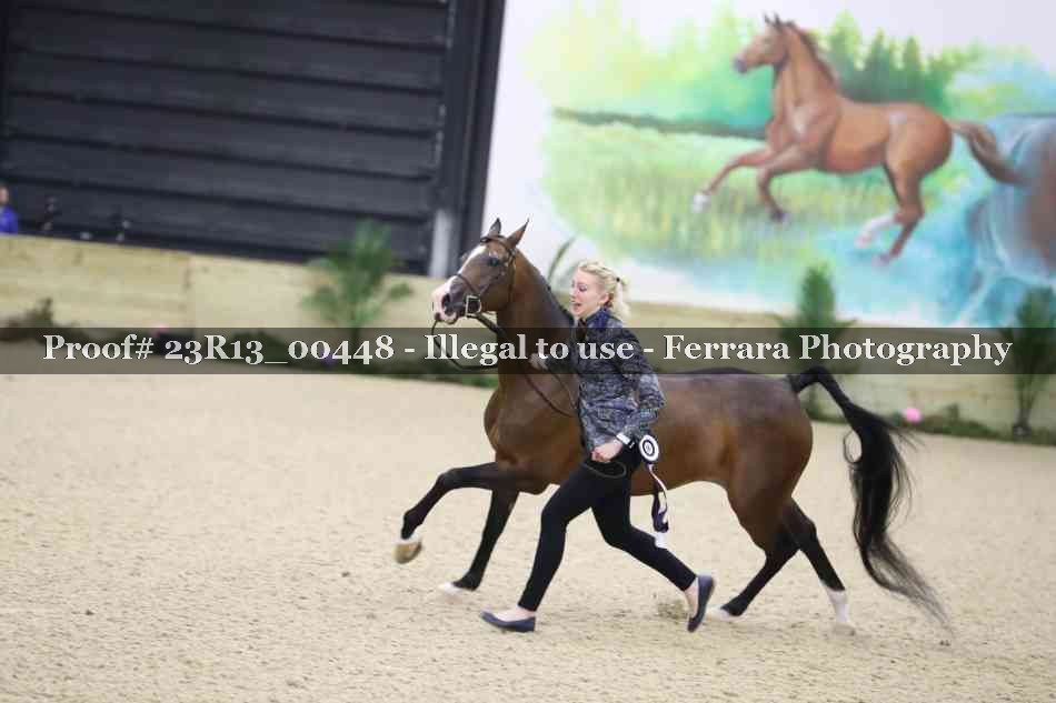 Proof 23R13_00448