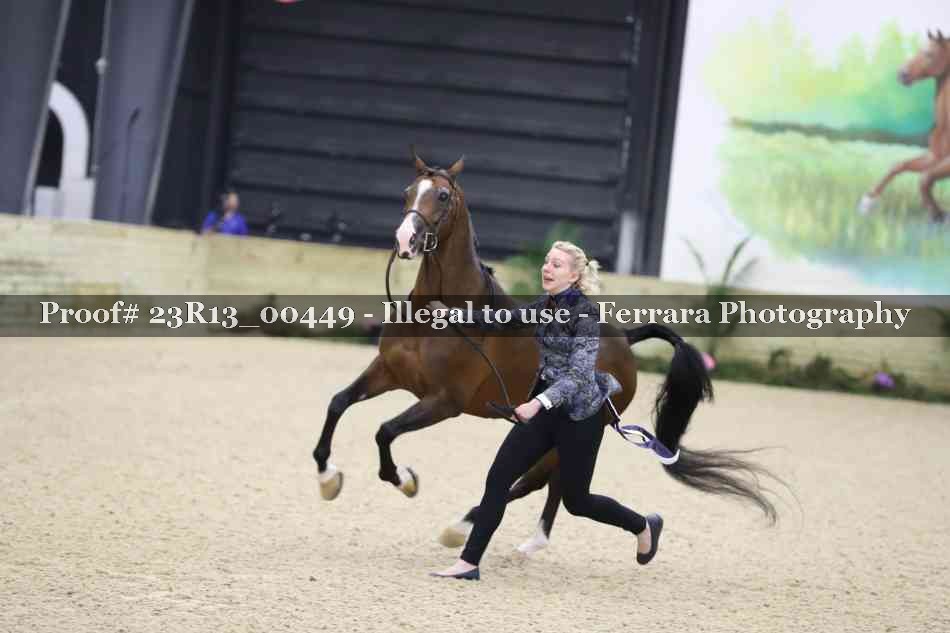 Proof 23R13_00449