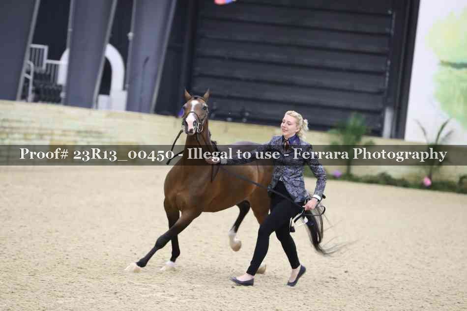 Proof 23R13_00450