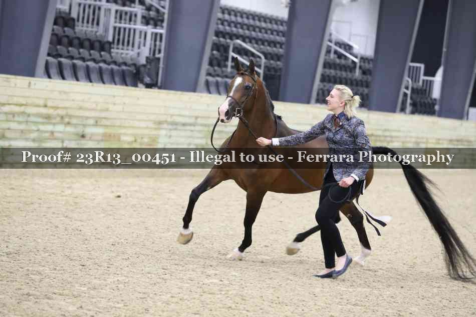 Proof 23R13_00451