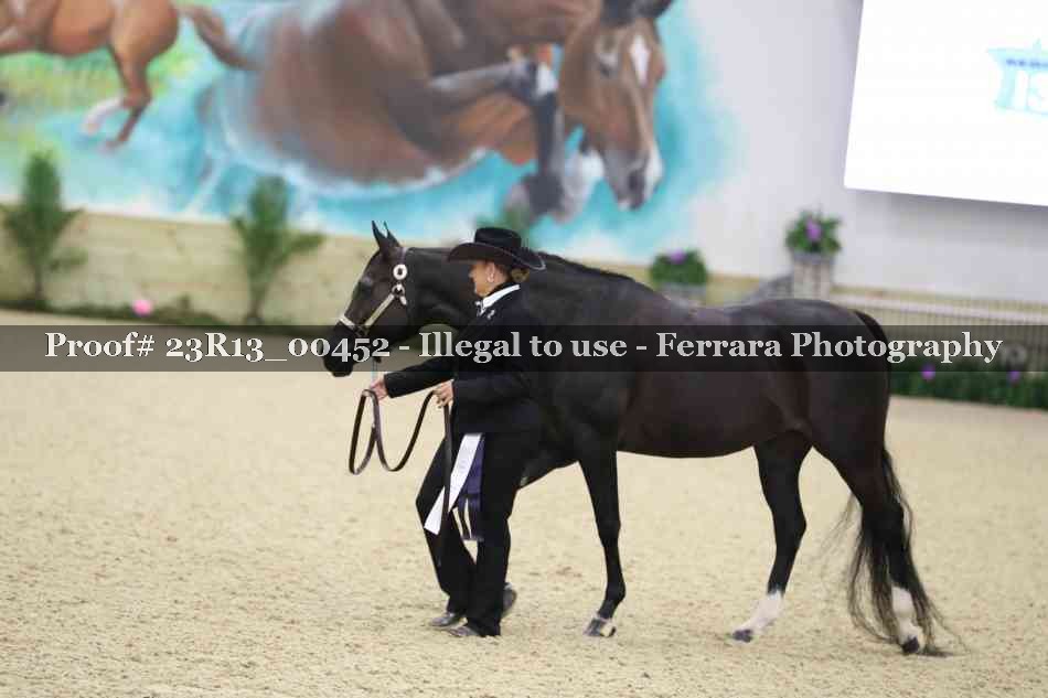 Proof 23R13_00452