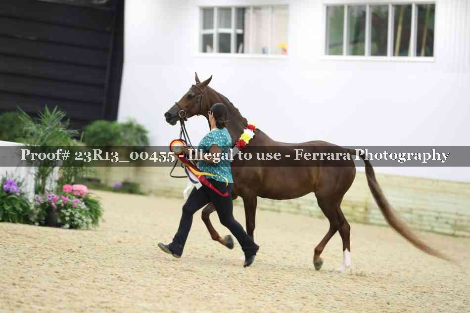 Proof 23R13_00455