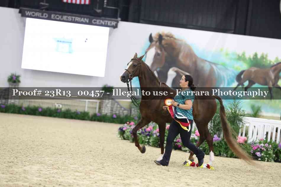 Proof 23R13_00457