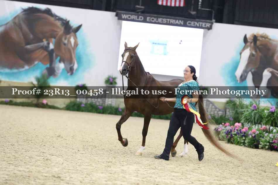 Proof 23R13_00458