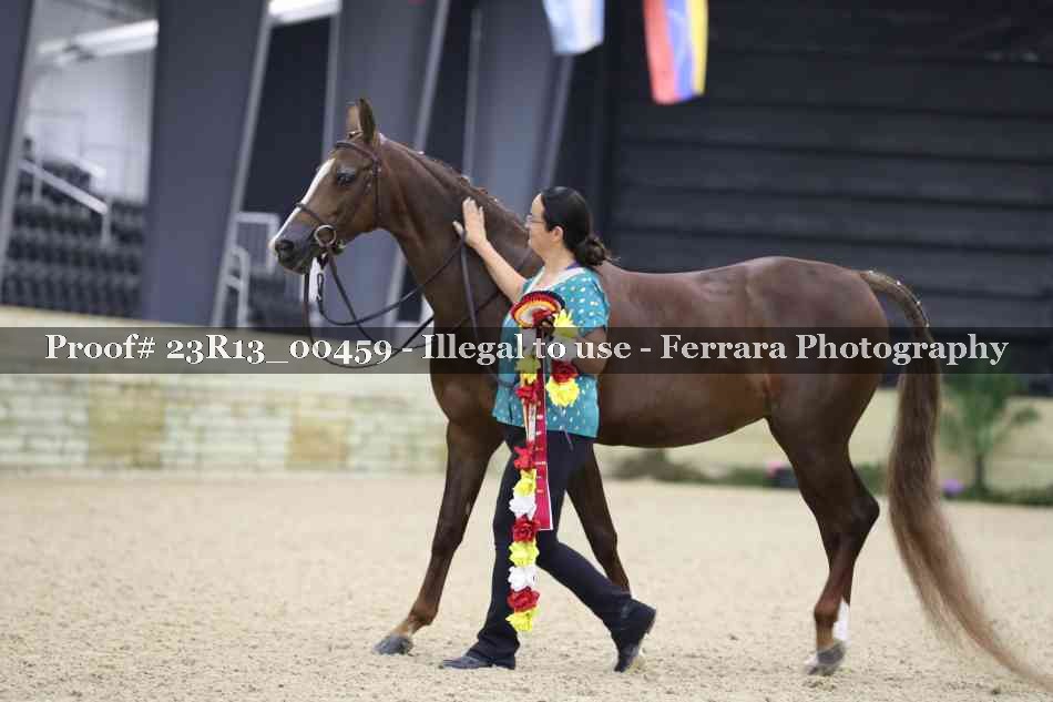 Proof 23R13_00459