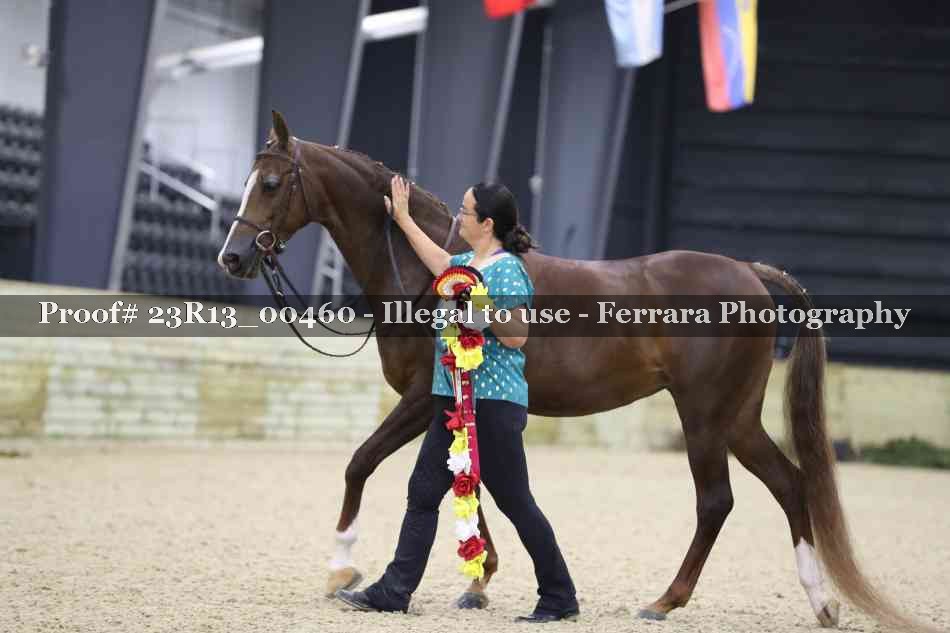 Proof 23R13_00460