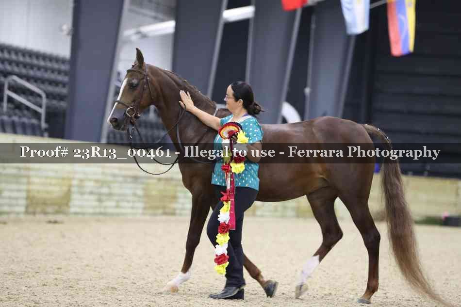 Proof 23R13_00461