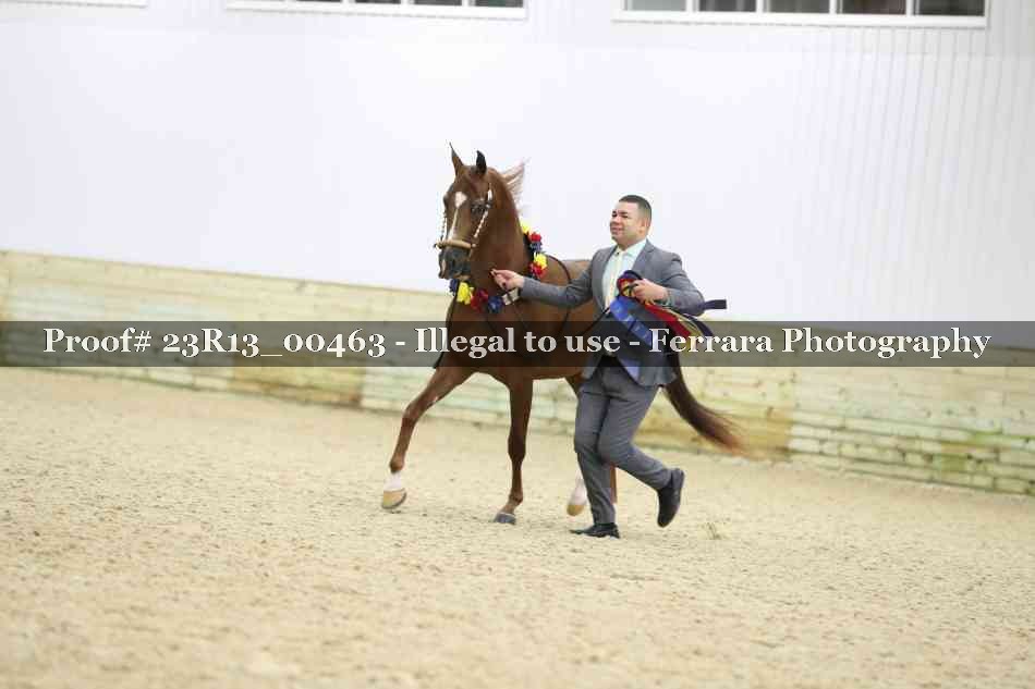 Proof 23R13_00463