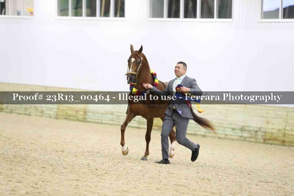 Proof 23R13_00464