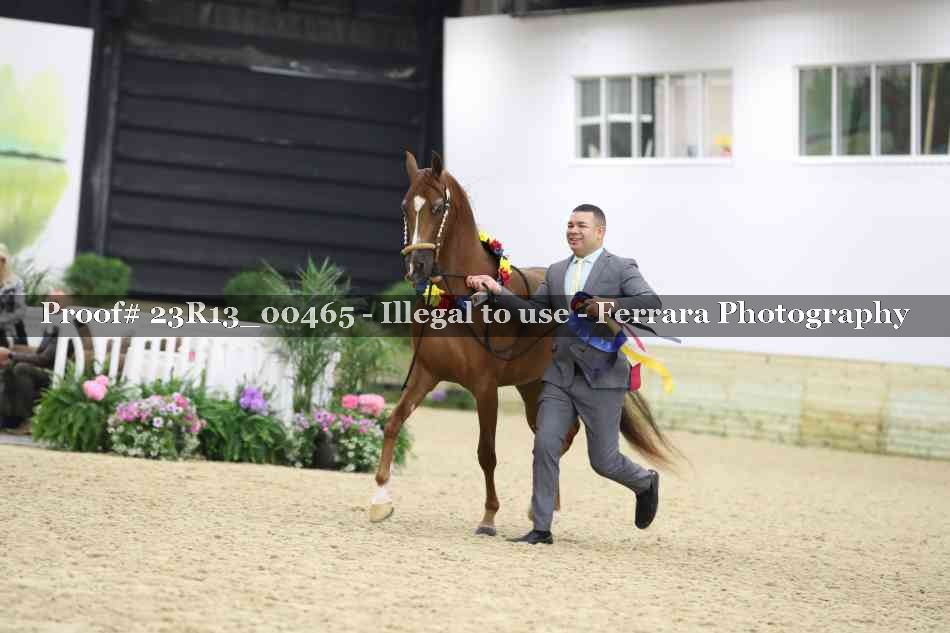 Proof 23R13_00465